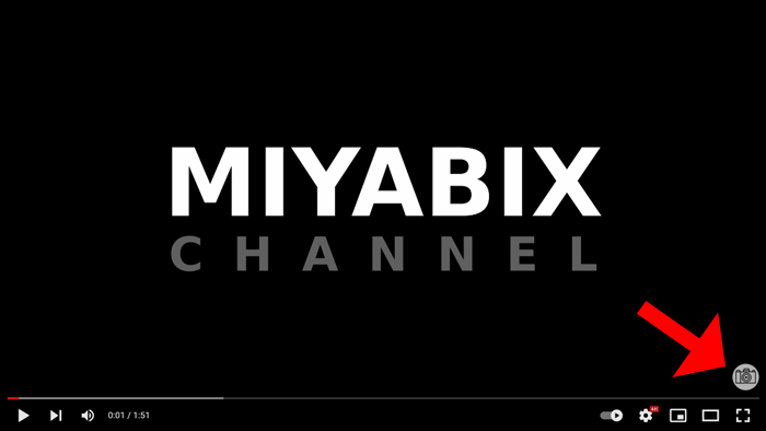 Miyabix